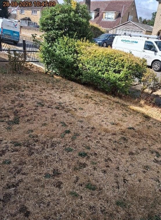 Front garden with trimmed hedge and railings left clear and tidy after a clearance