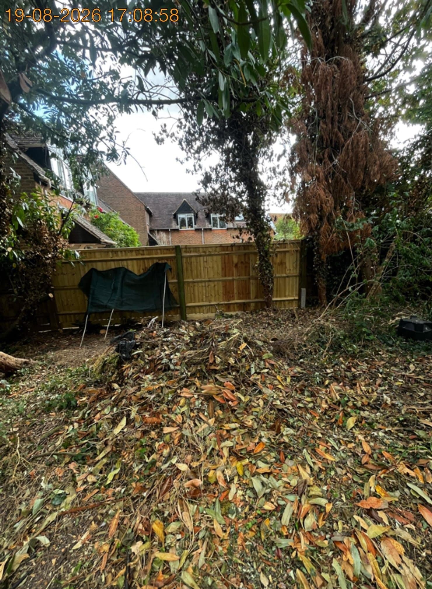 Garden strewn with fallen leaves and cut vegetation beside new fence panels ready for clearance