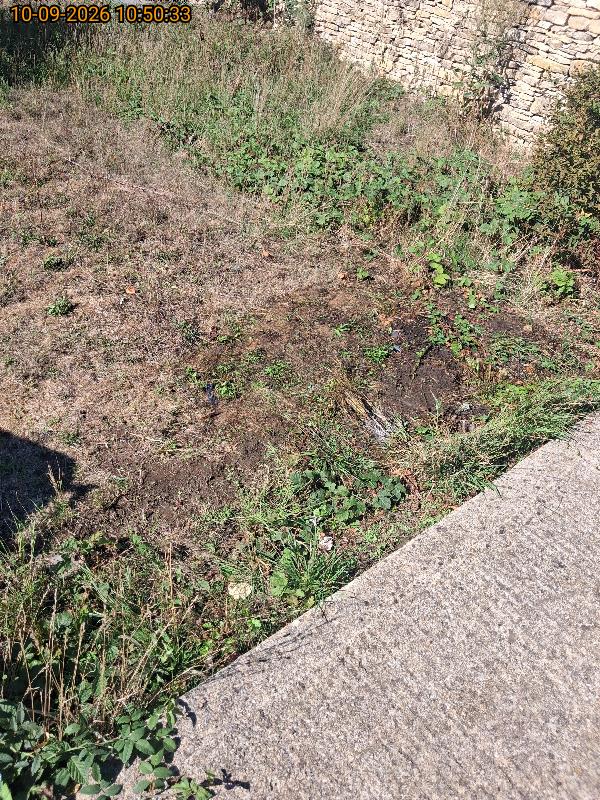 Garden & bulky waste clearance after clearance