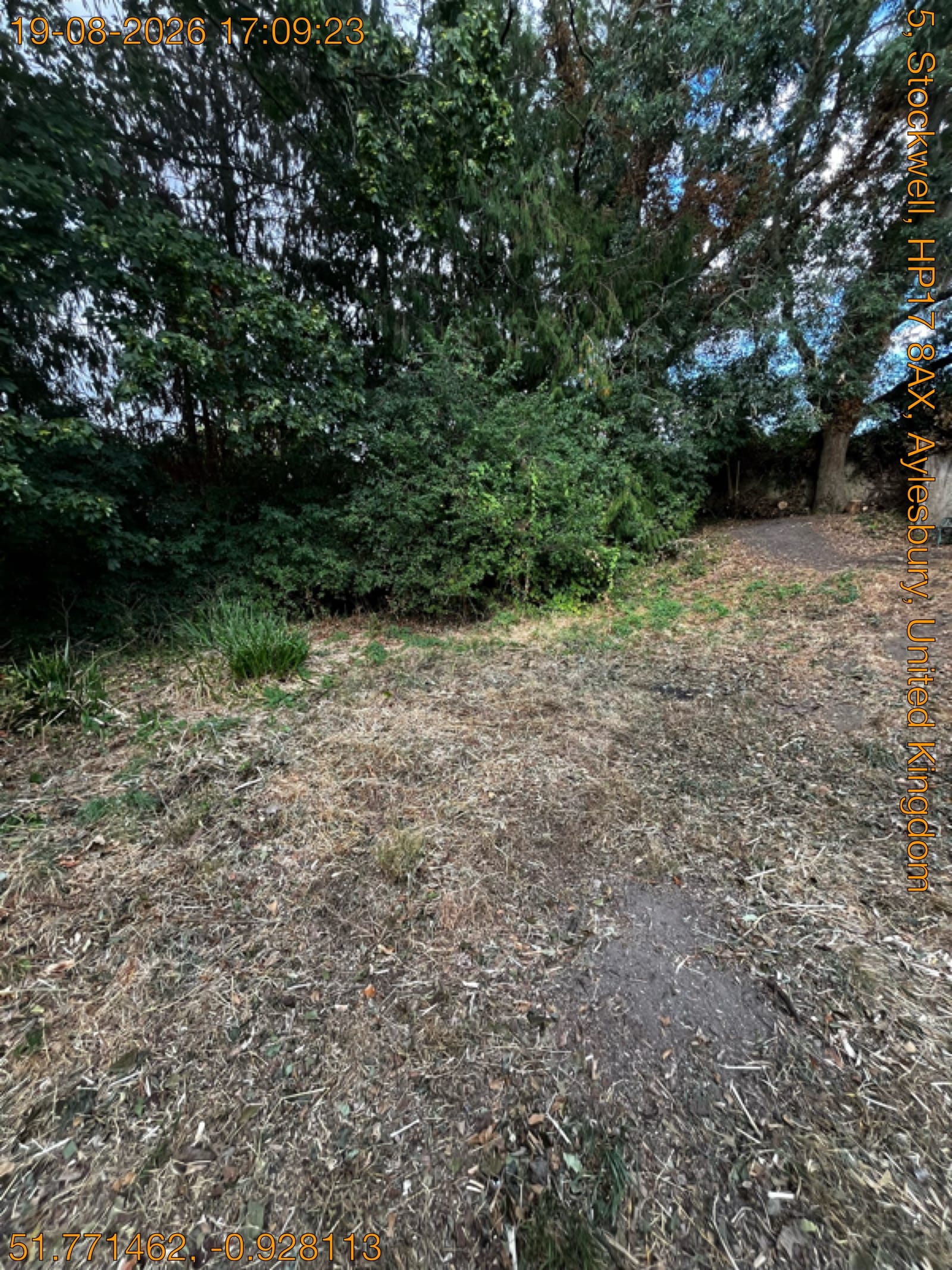Overgrown garden clearance, Aylesbury after clearance