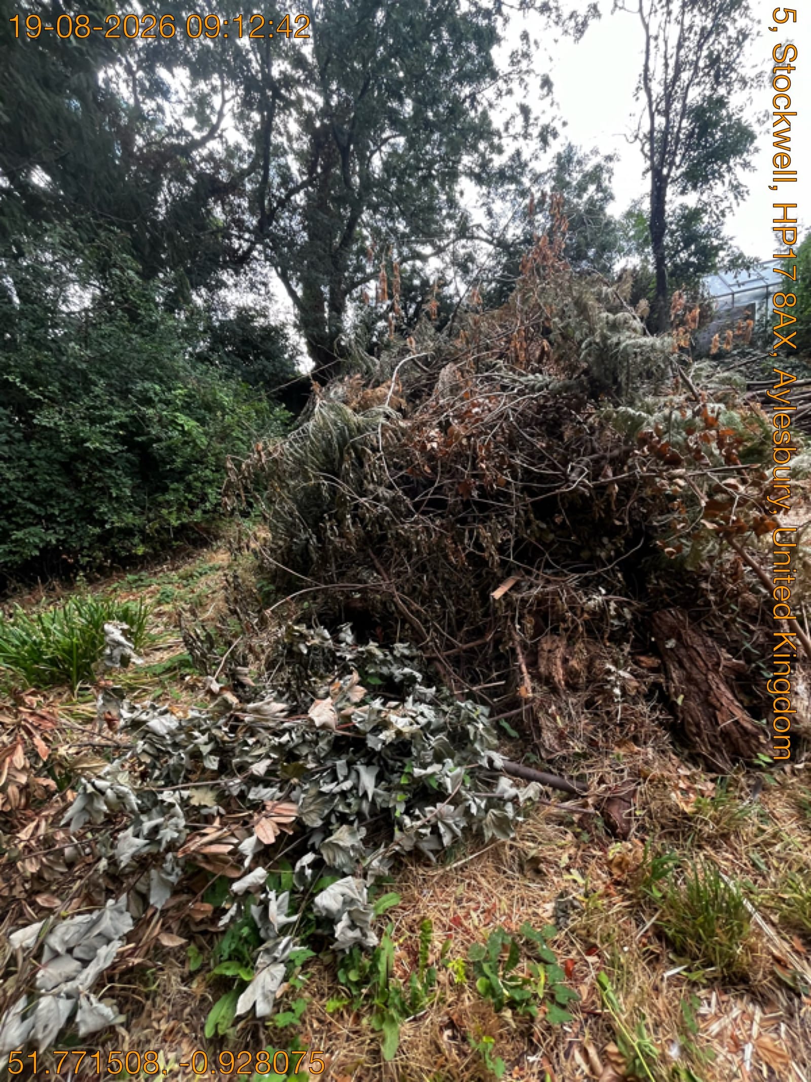 Garden Waste Removal in Sutton, London