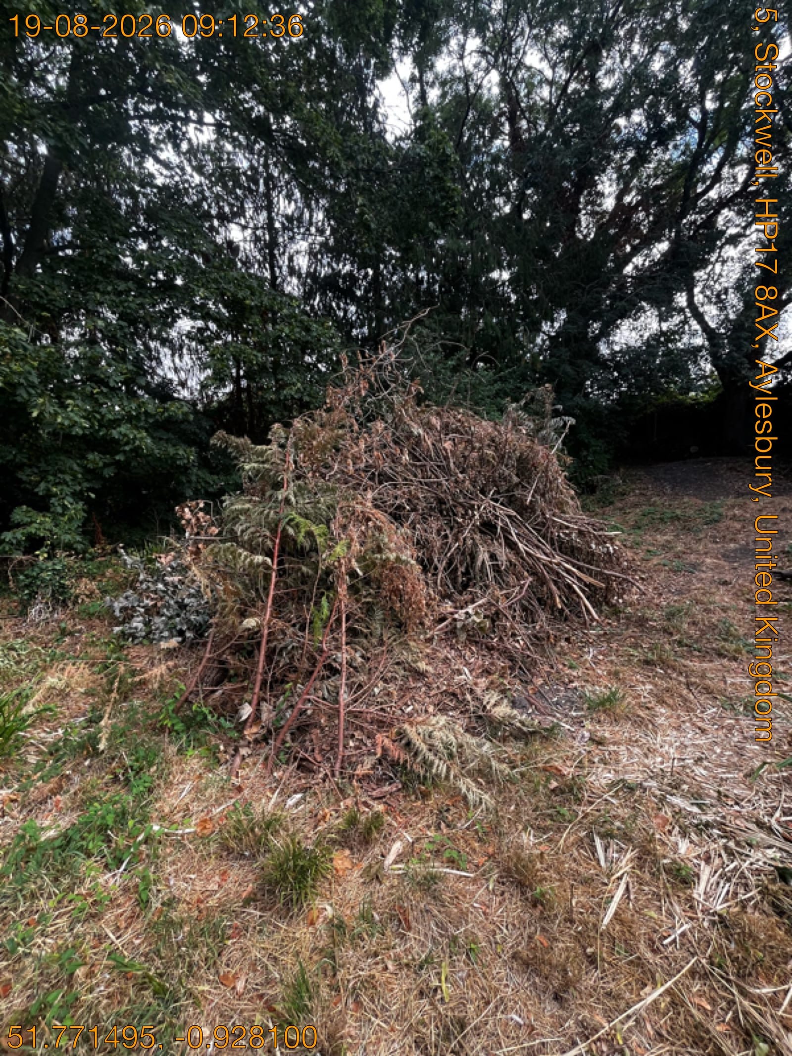 Overgrown garden clearance, Aylesbury before clearance