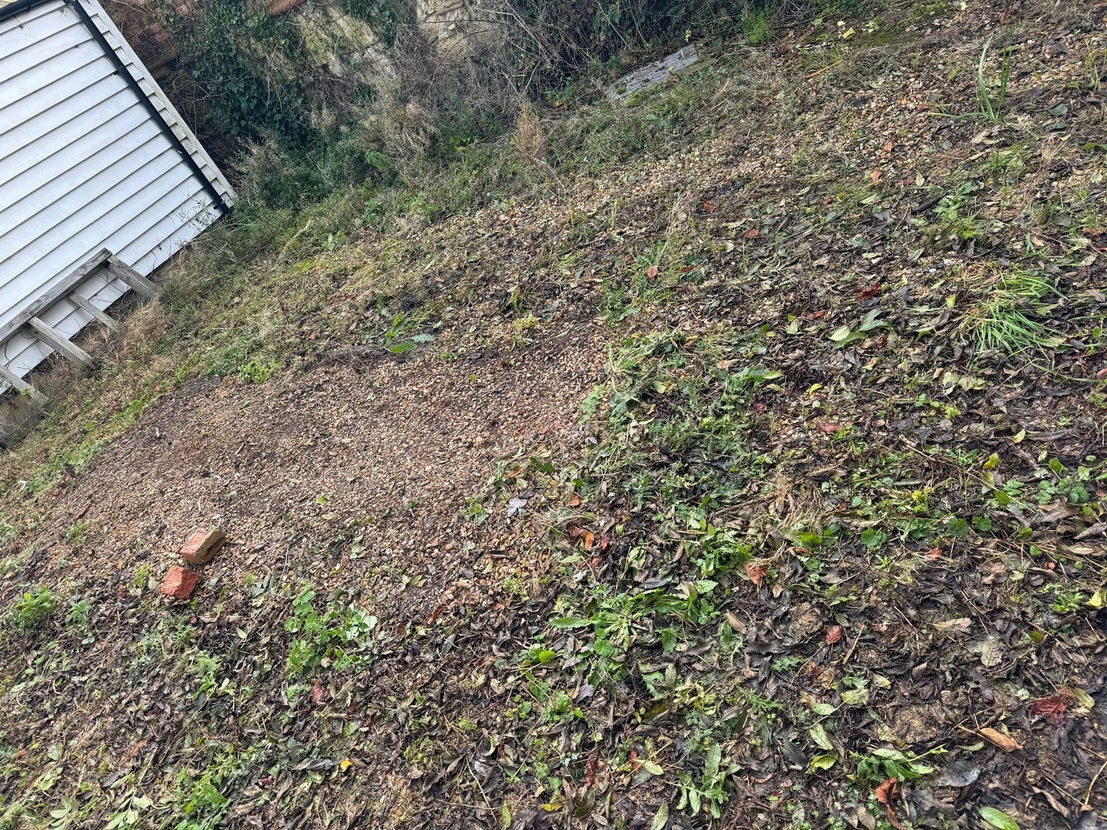 Garden clearance after clearance